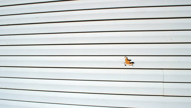 Affordable siding repair and maintenance services in Hayneville, AL